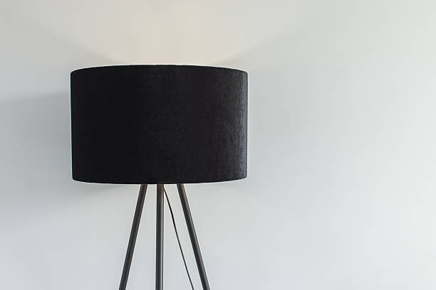 Floor lamp. Lighting fixture