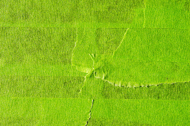 Background of torn white paper.