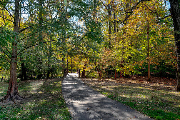 istock An autumn scene in Sligo Creek Park 2243801634