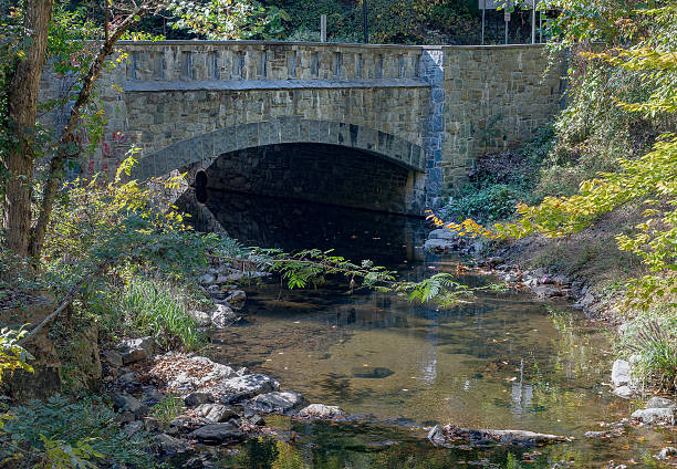 istock An autumn scene in Sligo Creek Park 2243801675