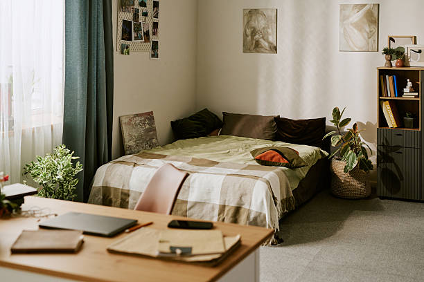 istock Empty Bedroom Interior Showing Cozy Bed and Decorated Walls in Sunlight 2243801883