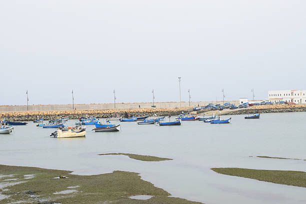 image shows a calm harbor with several small fishing boats floating on the water, most of them painted in blue and white. In the background, a stone breakwater supports a row of lampposts and separates the boats from a paved area and some white buildings. The foreground includes patches of green algae or tidal mud, adding a natural texture to the peaceful coastal scene