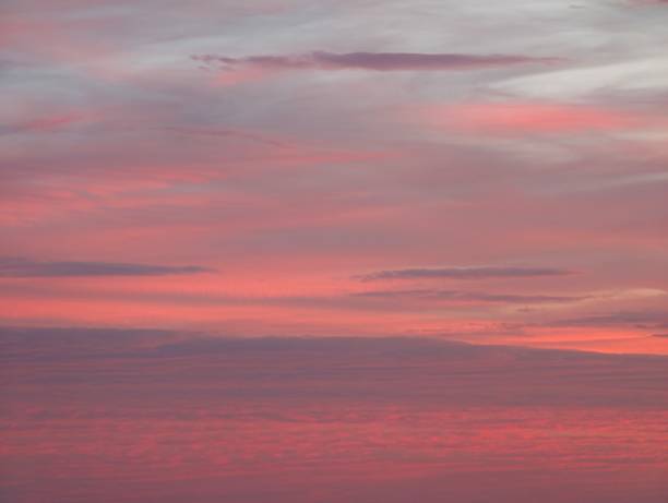 gentle pastel scenery, tranquil pink dawn featuring soft hues and delicate cloud textures