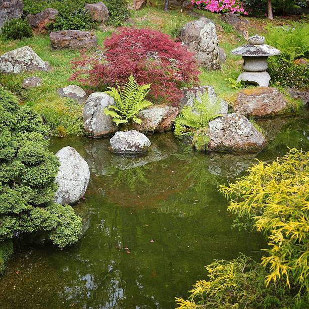 istock Japanese Tea Garden 2243804508