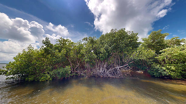 istock Florida Keys Boat Marina 2243806967