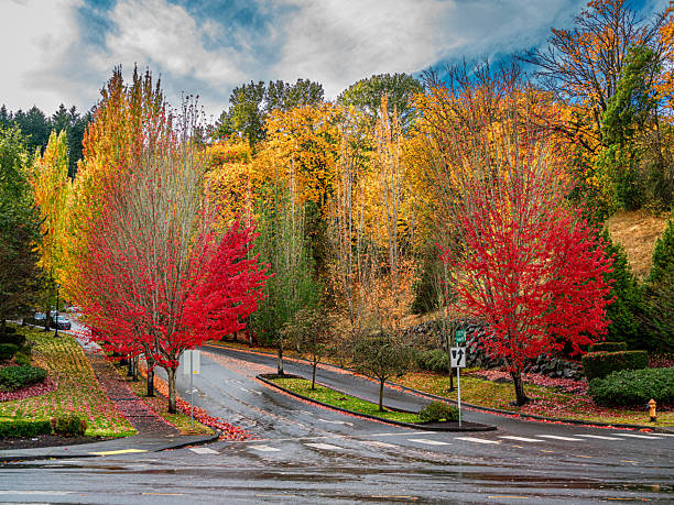 istock Kent Autumn Street 2243808378
