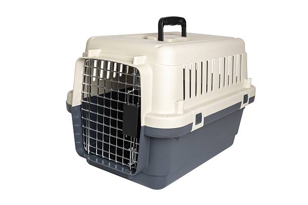 istock Sturdy portable pet carrier with secure latch and ventilation for safe travel 2243810192