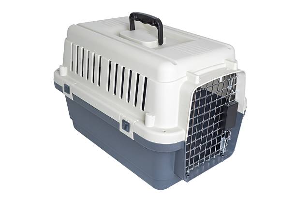 istock Plastic pet carrier with ventilation grate and handle for safe travel 2243810370