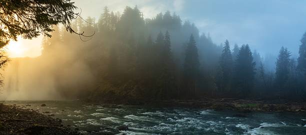 istock Misty forest and river at sunrise 2243810372