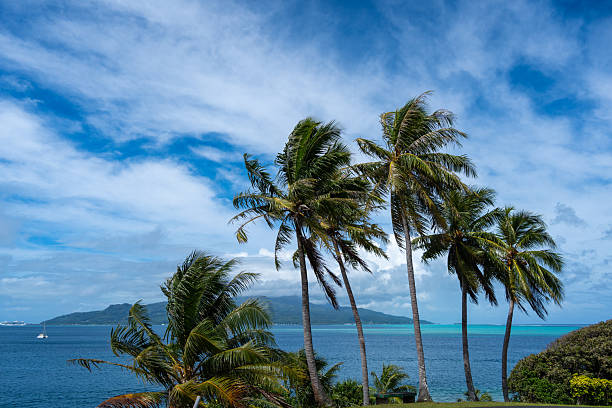 istock Panoramic View of Raiatea Island from Tahaa, French Polynesia 2243810725
