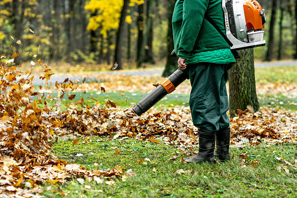 istock Autumn Leaf Cleaning in the Park 2243813118
