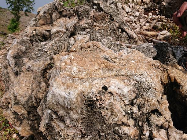 istock crystallized karst rock texture motifs, limestone, coral rock motifs 2243814365
