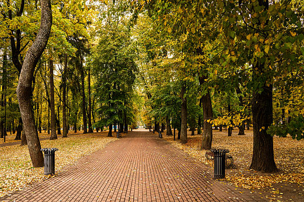 Brick path through a beautiful autumn park with colorful trees and fallen leaves on the ground. Outdoor nature scenery for season change concept.