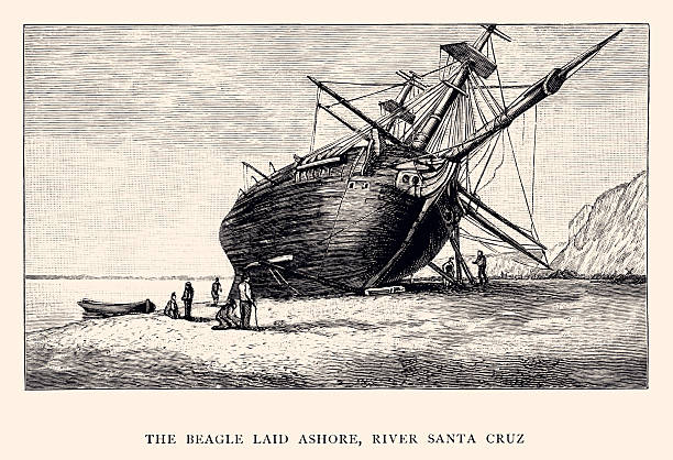 This is a historical illustration depicting HMS Beagle, the ship that carried Charles Darwin on his famous voyage, laid ashore on the banks of the River Santa Cruz in Patagonia, South America. The scene is from Darwin's expedition between 1831 and 1836, documented in his book The Voyage of the Beagle. ►Date of the event: April–May 1834.►Location: River Santa Cruz, Patagonia (now in Argentina).►Purpose: Captain Robert FitzRoy ordered the Beagle to be grounded (or 