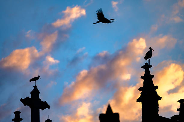 A flock of birds flying over a minaret with sunset sky background