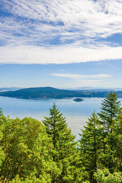 istock View of the San Juan Islands from a forested viewpoint 2243827791