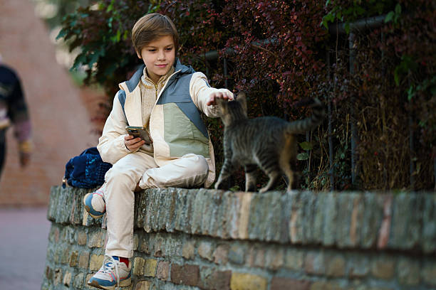 Young boy smiles while petting a tabby cat on a brick wall outdoors.