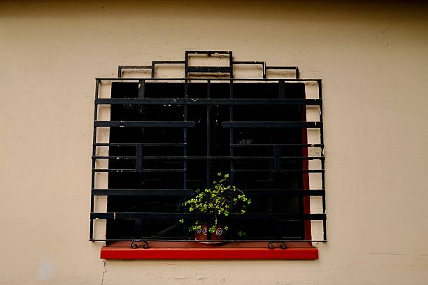 Grey residential building with flowers hanging from one window