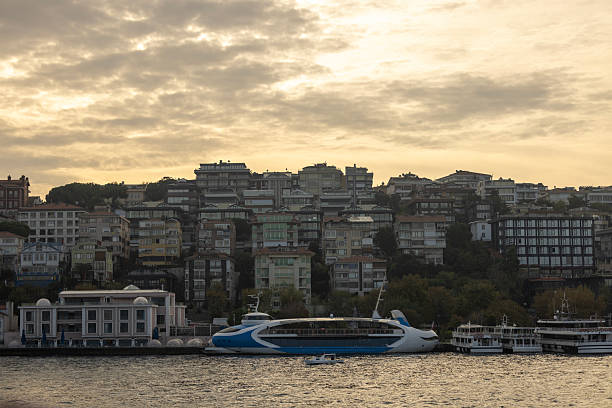 Beautiful Istanbul Cityscape with Ships on the Bosphorus Strait