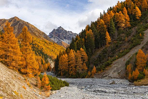 istock Autumn mountain landscape with vibrant foliage. 2243834299