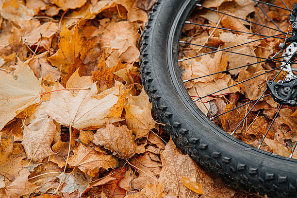 istock Bicycle tire on autumn leaves checking tire condition before fall rides 2243836095