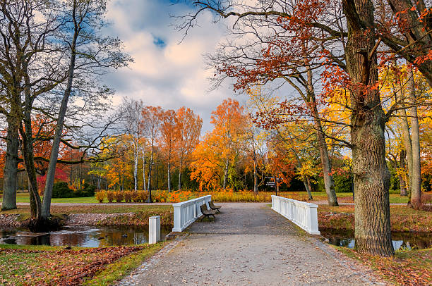 Late autumn in old public park, walking pedestrian decorative bridge over small river with swimming wild ducks, on the bridge seen resting benches, footpaths alleys among golden color trees, rare cloudy bright day