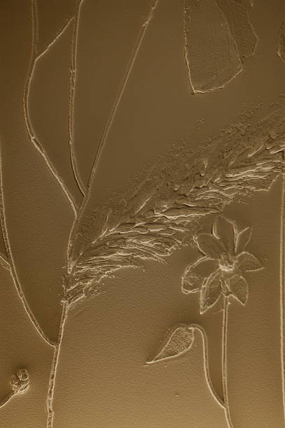 Raised tan floral shapes create wall relief.