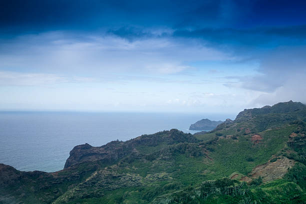 A wide-angle landscape view of the rugged, green-covered cliffs of Kauai, Hawaii, overlooking the calm, blue Pacific Ocean under a moody sky.