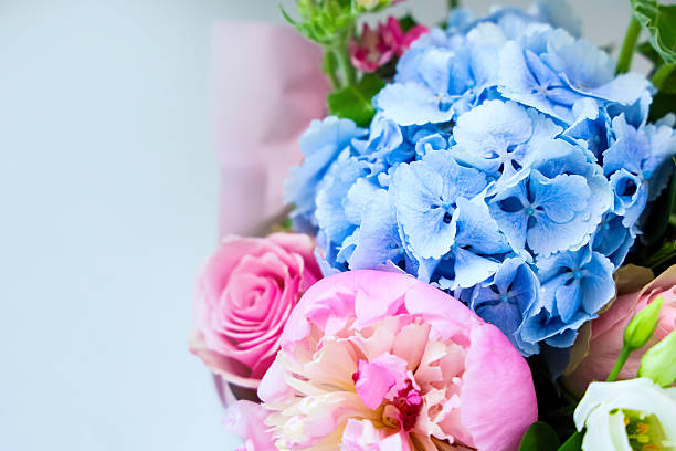 Bouquet of spring flowers on white background