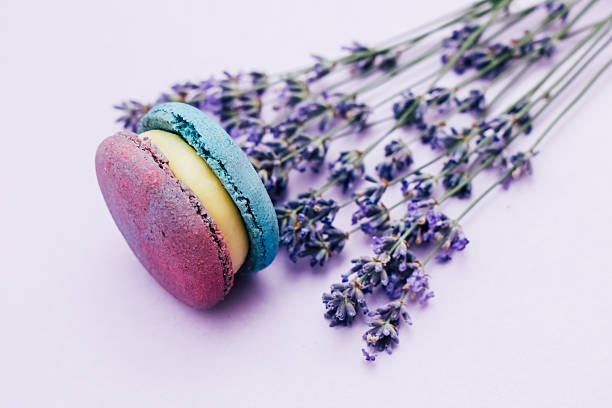 Colorful macarons and lavender flowers arranged on a pastel surface in a delightful display
