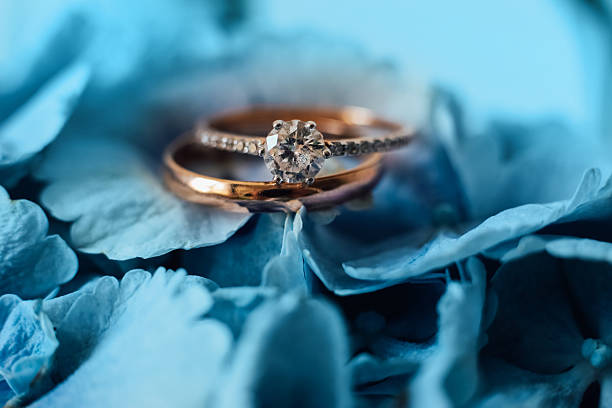 Wedding rings with a sparkling diamond sit elegantly on hydrangeas petals creating a romantic scene. The gentle light enhances the beauty of the rings and the floral backdrop.