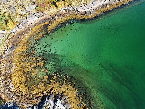 istock green fjord 2243852871