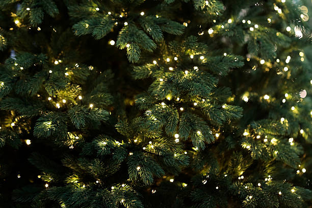 istock close up of Christmas tree with lighted garland 2243854813