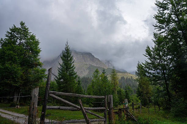 Moody alpine scenery in Austria with wooden fence gate, evergreen trees and mountain peaks covered in fog and clouds on a cool summer day.