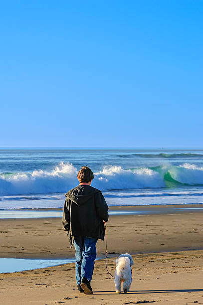 Young Latino boy and his cute white dog interacting together on a remote section of a coastal beach