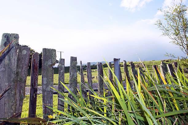 Mist farm. Nagano Prefecture of Japan. Prairie in the plateau. Early morning scenery.