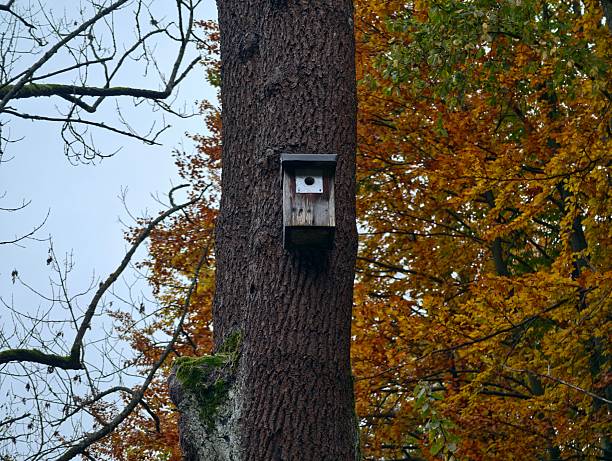 birdhouse
