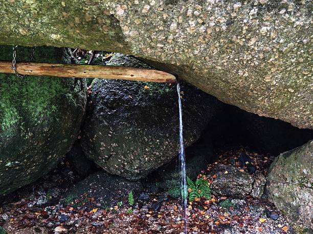 serene spring bubbling from rocky crevice, peaceful stream flowing beneath lush mosscovered overhang