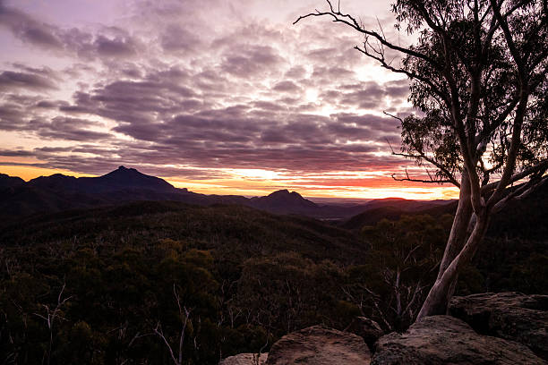 istock A vivid sunset glows in the western sky behind a dramatic escarpment, with a white gum tree silhouetted in the foreground 2243874403