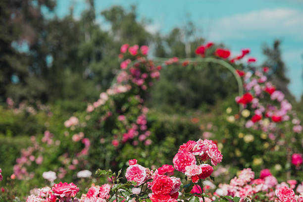 botanical landscape