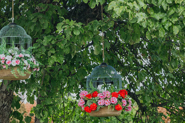 Two decorative bird cages filled with colorful flowers hang from tree branches