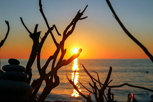 The photo shows silhouettes of dry branches and a stone cairn in the foreground. On the horizon, a bright sunset reflects in the water with a golden trail. The contrast of warm orange-yellow tones with dark silhouettes creates an atmosphere of coziness, harmony, and tranquility
