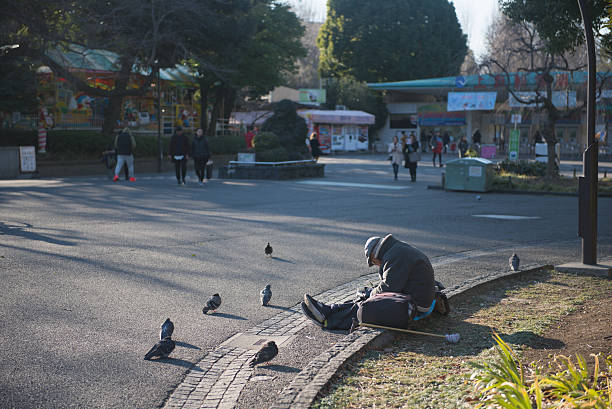 Ueno Park, Tokyo, Japan, Feb 10, 2016: A person  rests or sleeps near a paved path, surrounded by pigeons, capturing a candid scene of daily life at Ueno Park in Taito City, Japan.