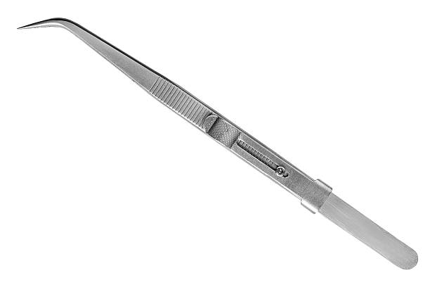 istock Curved tweezers isolated 2243881013