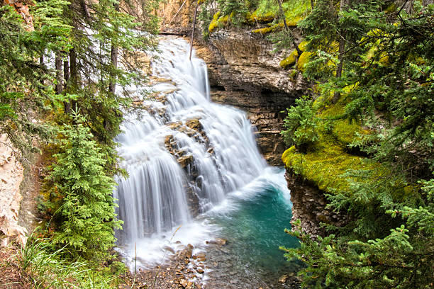 istock Waterfall of Johnston Canyon 2243884179