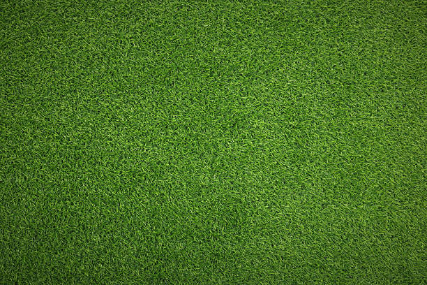 istock Fresh green grass as background outdoors, top view 2243884753