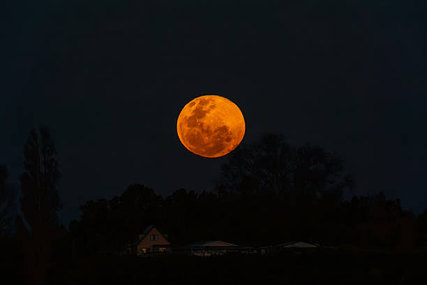 istock Circular red moon high in sky on black background with copyspace, moon high in sky on background with copyspace, 2243885405