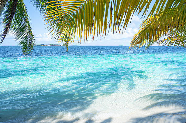 istock Tropical paradise beach scene for background or wallpaper 2243885424