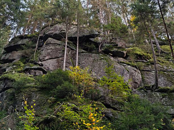 rock formations with flora and lichens, naturerich landscape suitable for geological investigation