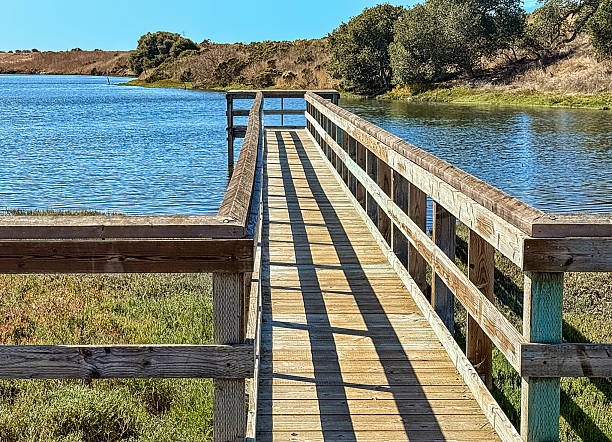 istock Pier at Elkhorn, California, USA 2243891818